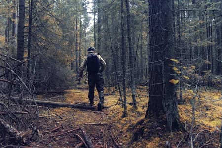 Купить диплом Егеря, лесника в Находке