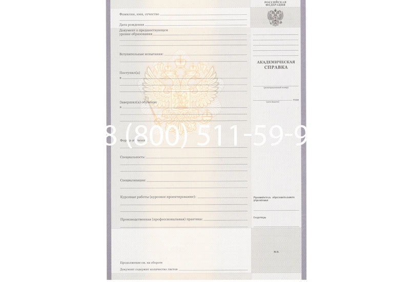 Купить Академическая справка образца 2010-2011 год для колледжа в Находке
