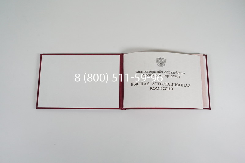 Диплом доктора наук 1995-2006 года в Находке Диплом доктора наук 1995-2006 года в Находке