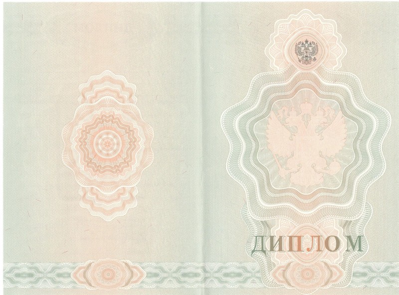 Купить Диплом о начальном образовании 2007-2009 годов в Находке Купить Диплом о начальном образовании 2007-2009 годов в Находке
